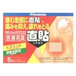サロンシップ 直貼 温熱シート 5枚入
