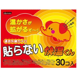 快温くん 貼らないカイロ 30個入