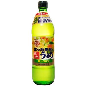 ポッカ 焼酎用紀州うめ 600ml