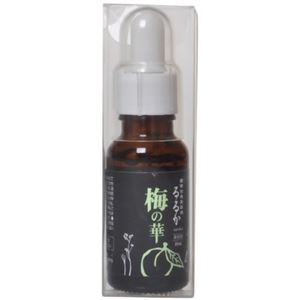 るるか 梅の華 18ml
