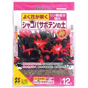 花ごころ シャコバサボテンの土 12L