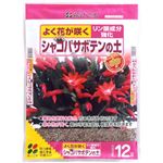 花ごころ シャコバサボテンの土 12L