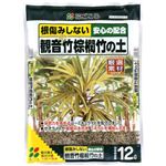 花ごころ 観音竹棕櫚竹の土 12L