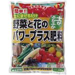 JOY AGRIS 野菜と花のパワープラス肥料 2kg
