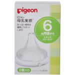 ピジョン 母乳実感 乳首 6ヵ月から Lサイズ 2個入