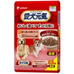 愛犬元気 栄養バランスと味わいプラスビーフ・緑黄色野菜・小魚入り 6.5kg