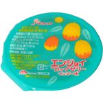 アクトケア うちの栄養士さん エンジョイカップゼリー マンゴー味 70g×24個入