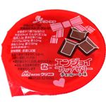 アクトケア うちの栄養士さん エンジョイカップゼリー チョコレート味 70g×24個入