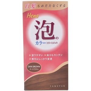泡カラートリートメント ダークブラウン 80g