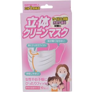 立体クリーンマスク やや小さめサイズ 10枚入