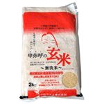 無洗米 卑弥呼の玄米 コシヒカリ 2kg