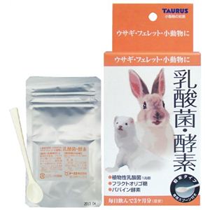 トーラス 小動物の知恵 乳酸菌・酵素 20g