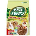ゲインズパックン 半生タイプ ビーフ・ささみ・緑黄色野菜・小魚入り 3.5kg