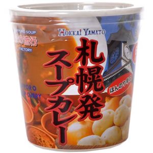 札幌発 スープカレー ほんのり辛口 20g×5個入