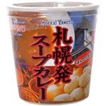 札幌発 スープカレー ほんのり辛口 20g×5個入
