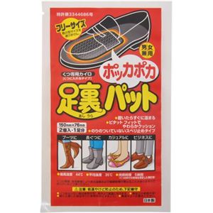 ポッカポカ足裏パット 10足入（靴用 カイロ）