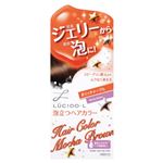 ルシードエル 泡立つヘアカラー リッチメープル