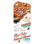 ルシードエル 泡立つヘアカラー シュガーキャラメル