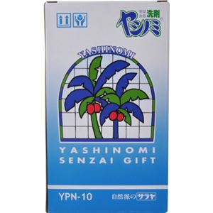 ヤシノミ洗剤ギフト YPN-10