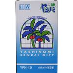 ヤシノミ洗剤ギフト YPN-10