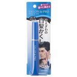 サロンドプロ はえぎわの白髪かくし メンズブラック