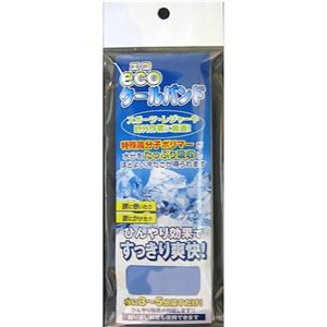 エコクールバンド