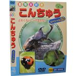 動物大好き こんちゅうスペシャル50