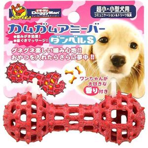 カムガムアミーバー ダンベルS