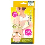 ピーンと背筋ベルト 通常タイプ