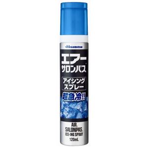 エアーサロンパスアイシングスプレー 120ml