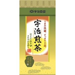 宇治煎茶 100g