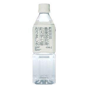【在庫限り特価】七福天然うまし水 （七福天然水） 500ml×24本