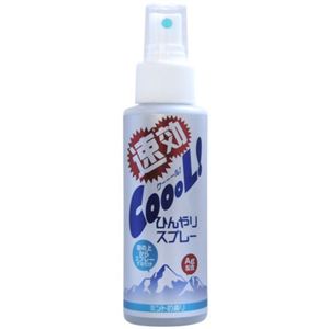 ひんやりスプレー COOOL！ ミントの香り 100ml