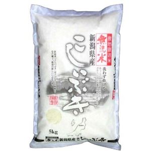 無洗米 新潟県産こしいぶき 5kg
