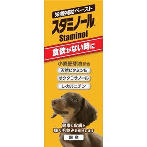 スタミノール 33g