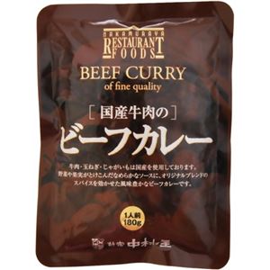 【ケース販売】新宿中村屋 国産牛肉のビーフカレー 180g×16食