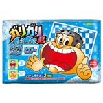 ガリガリ君 アイスジェルピロー