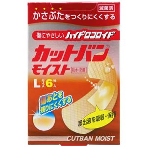 カットバンモイスト Lサイズ 6枚