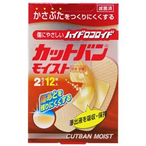 カットバンモイスト 2サイズ 12枚