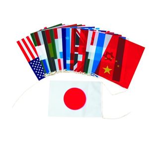 （まとめ買い）トーエイライト 万国旗 SS-20(20ヶ国組) B-6336×2セット - 拡大画像