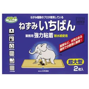 ねずみいちばん超特大 2枚入