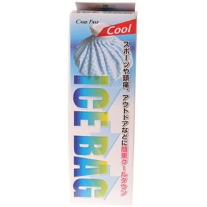 ケアフアスト アイスバッグ M 1350ml