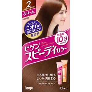 ビゲン スピーディカラークリーム 2（より明るいライトブラウン）