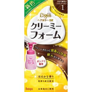 ビゲン ヘアカラーDX クリーミーフォーム ポンプ 1（かなり明るいライトブラウン）