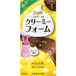 ビゲン ヘアカラーDX クリーミーフォーム ポンプ 1（かなり明るいライトブラウン）