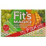 ロッテ フィッツMAGIQ パインチップ＆マスカット 12枚×10個