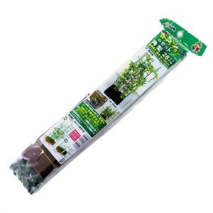 支柱と袋のプランターセット 角型 28L×12パック