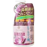 ファスィドール オールインワンゲル 紫根＆ヒアルロン酸配合 300g