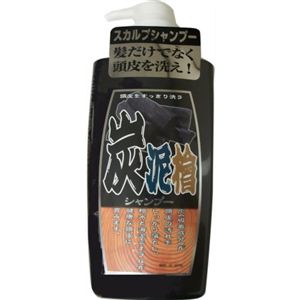 炭泥檜 スカルプGSシャンプー 500ml