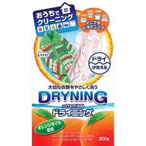 つけおき洗剤 ドライニング 300g